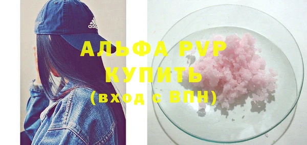 шишки Новодвинск