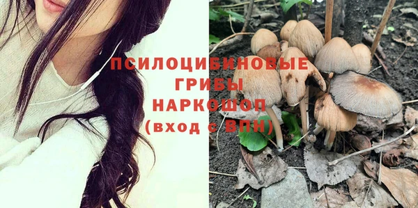 прущие крисы Валуйки