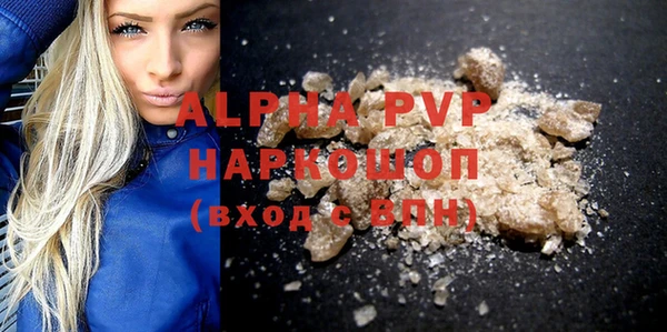 шишки Новодвинск