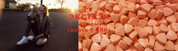 шишки Новодвинск