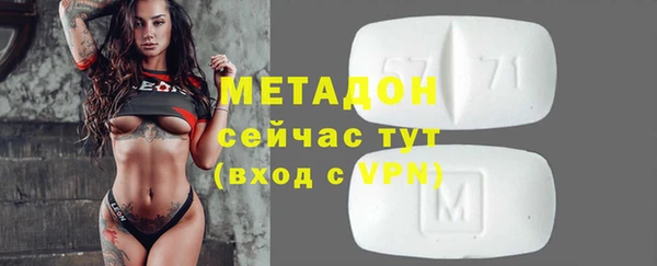 шишки Новодвинск