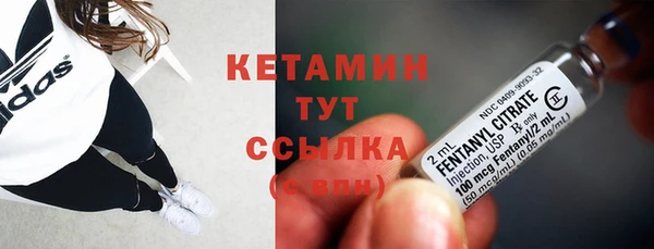 шишки Новодвинск