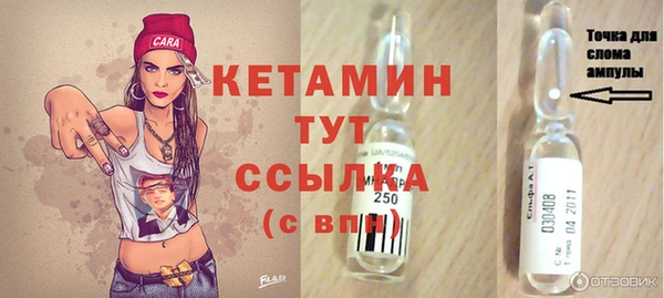 шишки Новодвинск