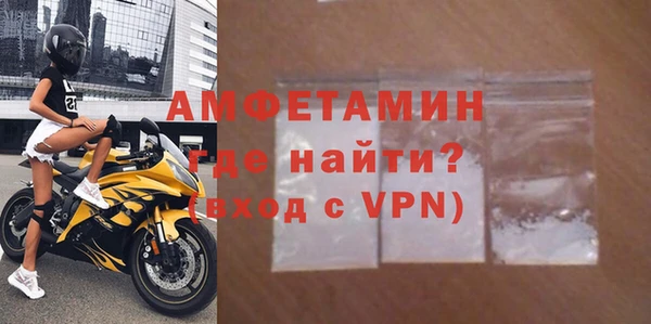 шишки Новодвинск