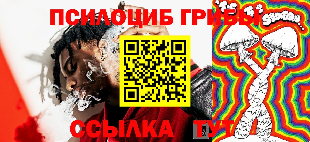 Галлюциногенные грибы Psilocybine cubensis Кунгур